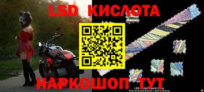 гидра Донецк