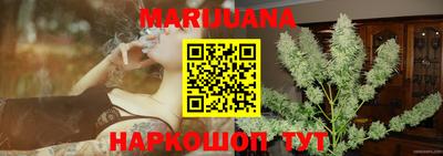 стаф Донской