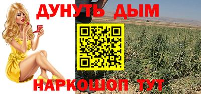 стаф Донской