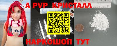 стаф Донской