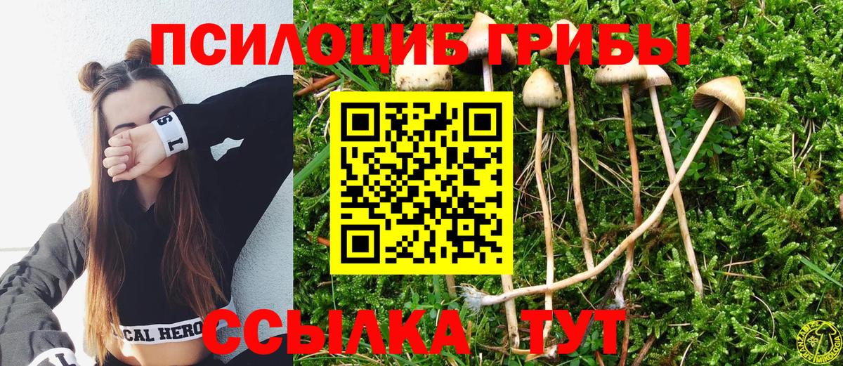 Псилоцибиновые грибы мицелий Вологда