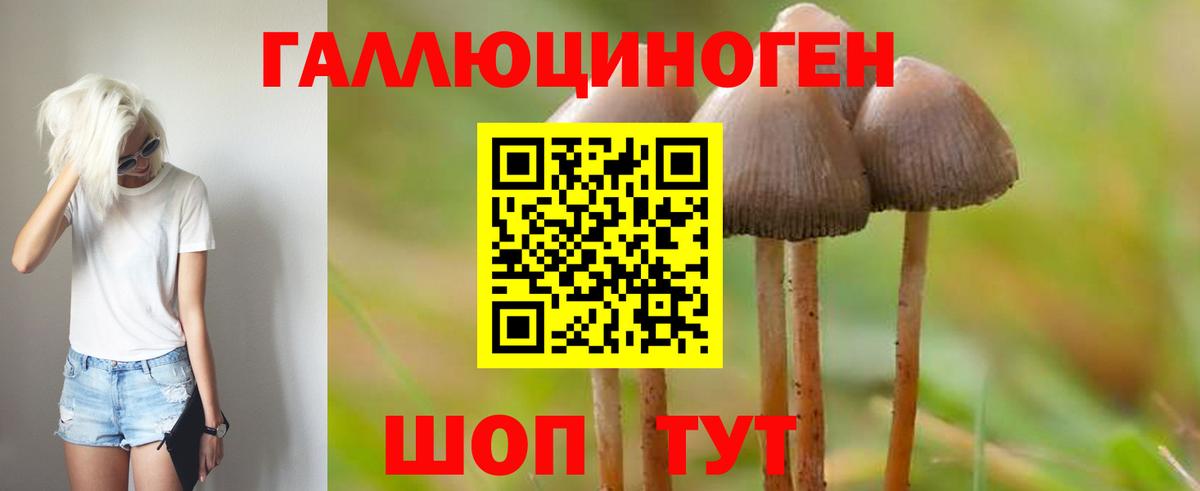 продажа наркотиков  Галлюциногенные грибы мухоморы  Вход с VPN  Вологда  Псилоцибиновые грибы Magic Shrooms 